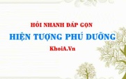 Hiện tượng phú dưỡng là gì, nguyên nhân của hiện tượng phú dưỡng? Hỏi đáp môn Hóa